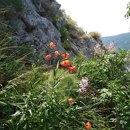 Apartma Bella Nadiza Kobarid