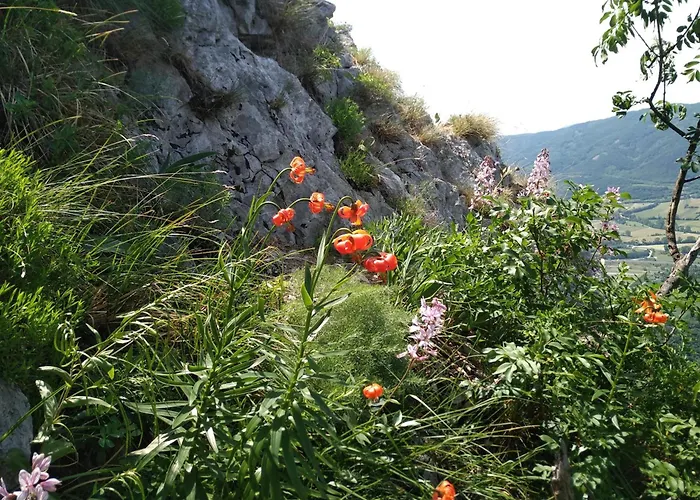 Apartma Bella Nadiza Kobarid